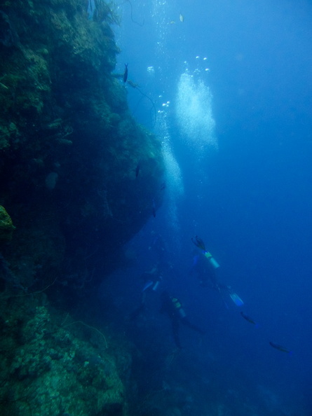 Divers IMG_7768.jpg